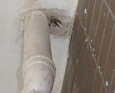 定襄漏水检测哪家好